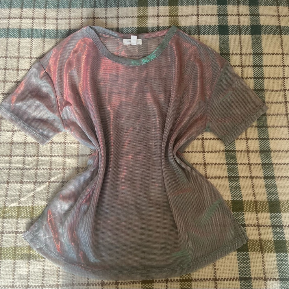 Silence + Noise Sheer Iridescent Top